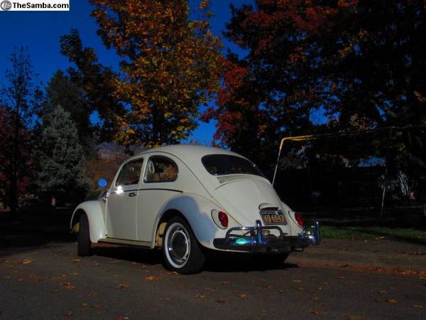 1964 Beetle - all original for sale in Medford, OR – photo 6