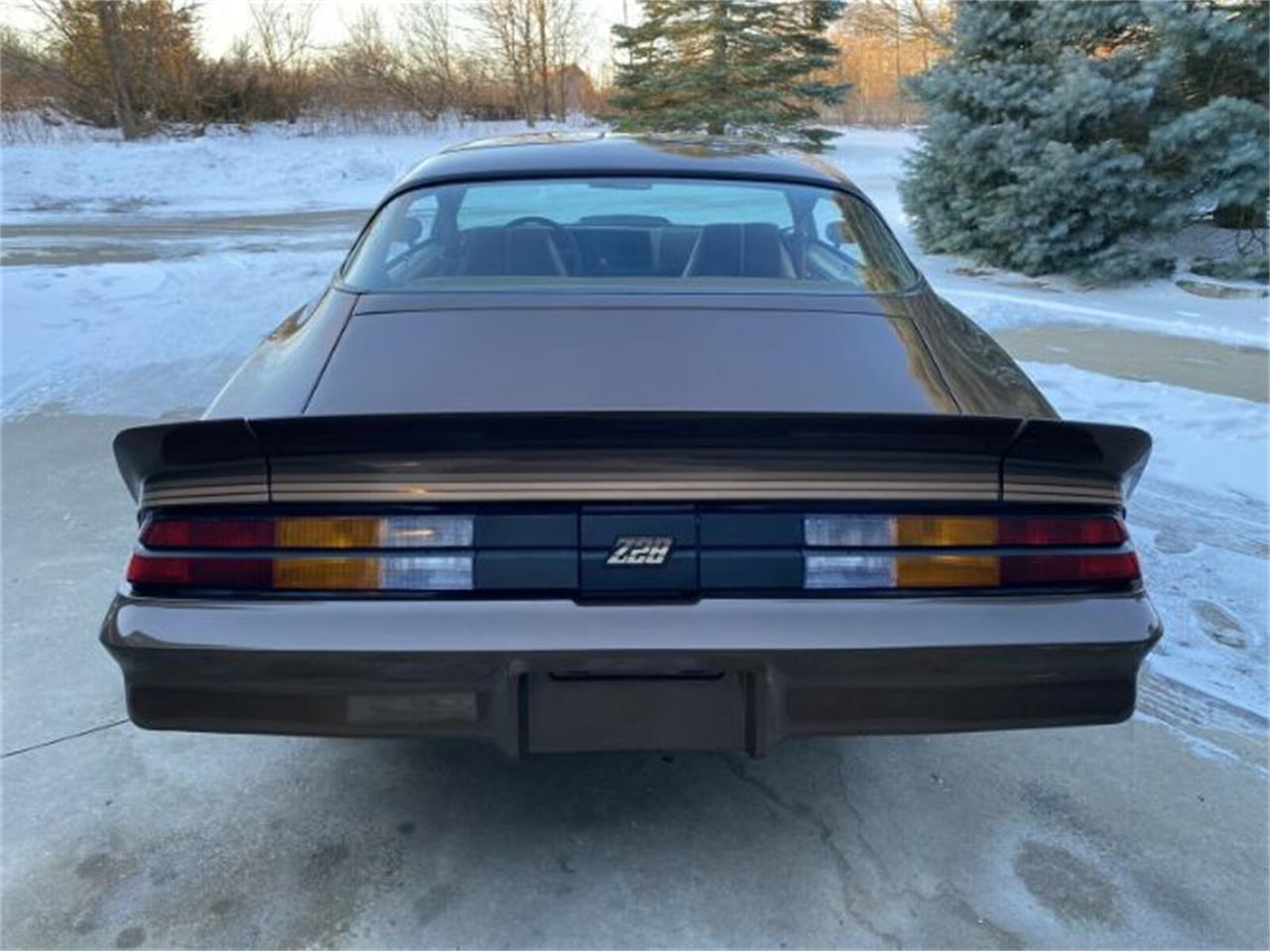 1980 Chevrolet Camaro for sale in Cadillac, MI – photo 19