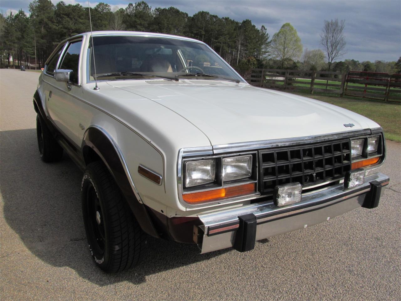1981 AMC Eagle for sale in Nags Head, NC – photo 7