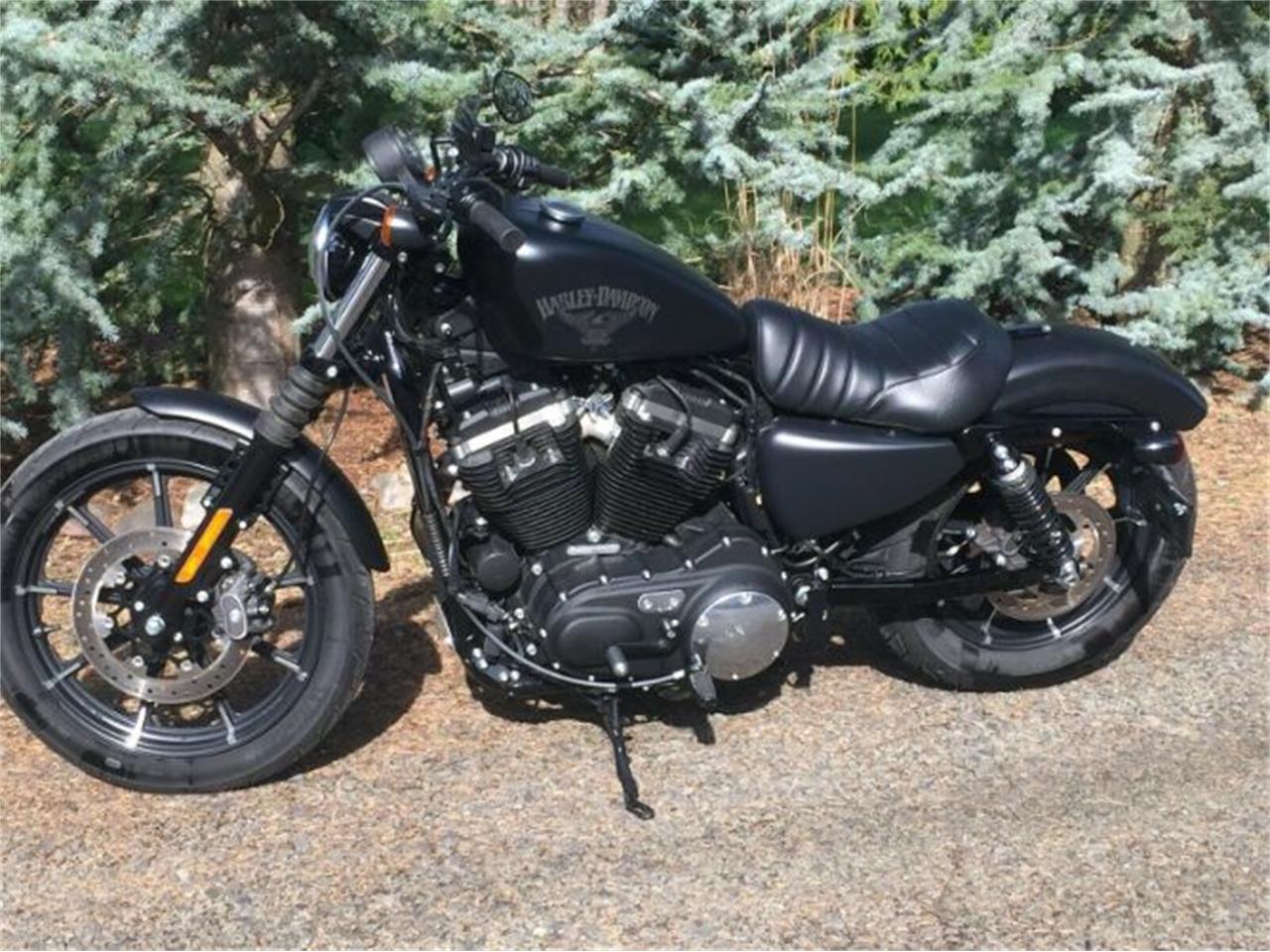 2018 Harley-Davidson Sportster for sale in Cadillac, MI – photo 16