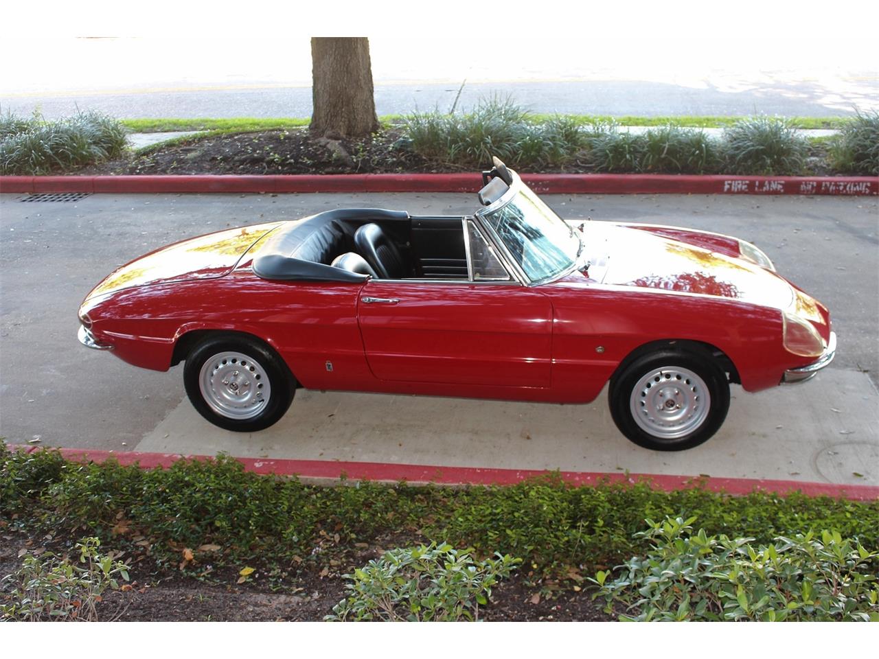 1967 Alfa Romeo Duetto for sale in Houston, TX – photo 6
