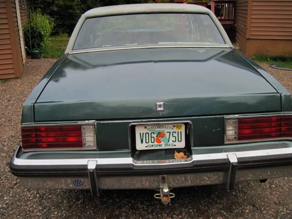 Classic 1981 Buick LeSabre for sale in Mercer, WI – photo 4