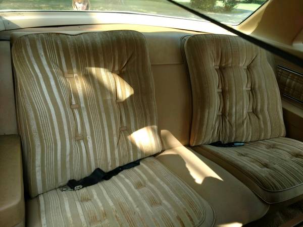 1977 Oldsmobile Cutlass Supreme - cars & trucks - by owner - vehicle... for sale in Lebanon, MO – photo 4