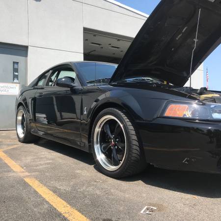 2003 Mustang Cobra Must Sell for sale in Clarence, NY – photo 12