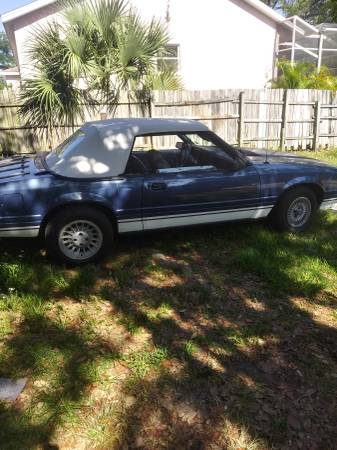 1983 Mustang convertible for sale in Palm Harbor, FL – photo 2