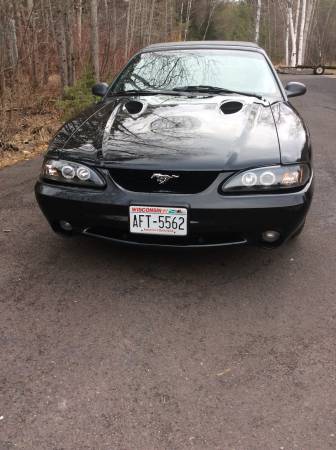 Mustang Cobra for sale in Duluth, MN – photo 3