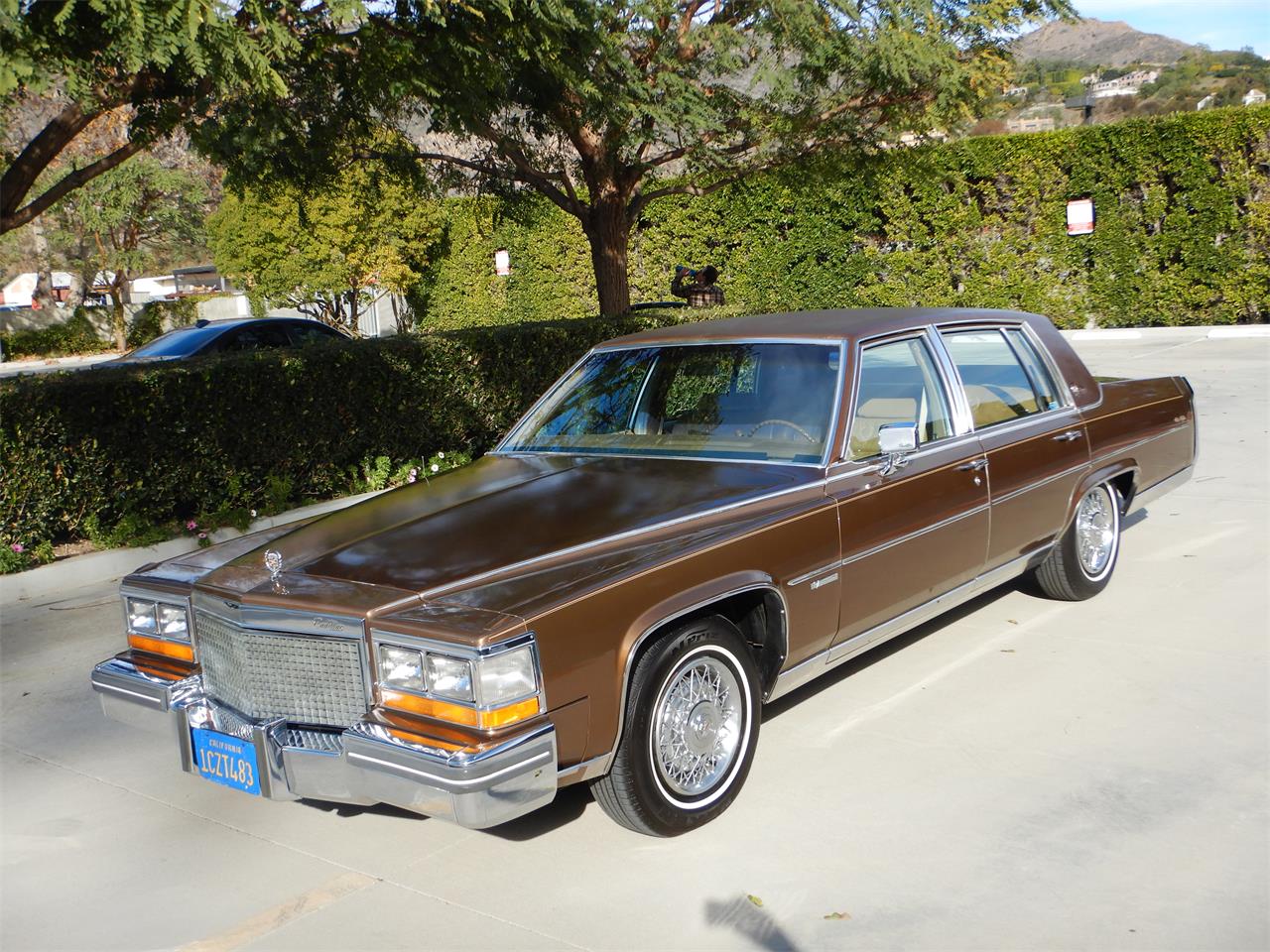 1981 Cadillac Fleetwood Brougham for sale in Woodland Hills, CA – photo 2