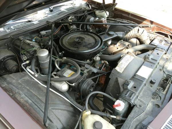 1977 Oldsmobile Cutlass Supreme - cars & trucks - by owner - vehicle... for sale in Lebanon, MO – photo 5