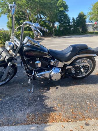 2008 Harley FXSTC - cash or trade (REDUCED) - - by for sale in St. Augustine, FL – photo 8